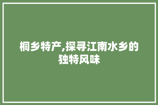 桐乡特产,探寻江南水乡的独特风味 未命名