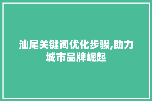 汕尾关键词优化步骤,助力城市品牌崛起