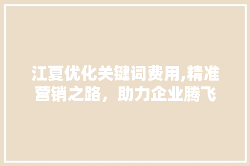 江夏优化关键词费用,精准营销之路，助力企业腾飞 百度SEO