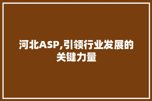河北ASP,引领行业发展的关键力量
