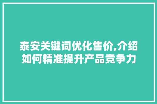 泰安关键词优化售价,介绍如何精准提升产品竞争力 GoogleSEO 泰安关键词优化售价,介绍如何精准提升产品竞争力 GoogleSEO
