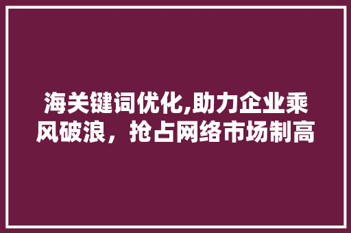 海关键词优化,助力企业乘风破浪，抢占网络市场制高点 GoogleSEO