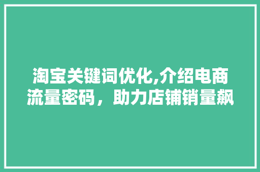 淘宝关键词优化,介绍电商流量密码，助力店铺销量飙升 神马SEO