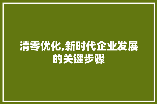 清零优化,新时代企业发展的关键步骤 必应SEO