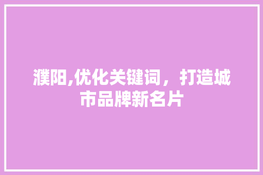 濮阳,优化关键词，打造城市品牌新名片 百度SEO