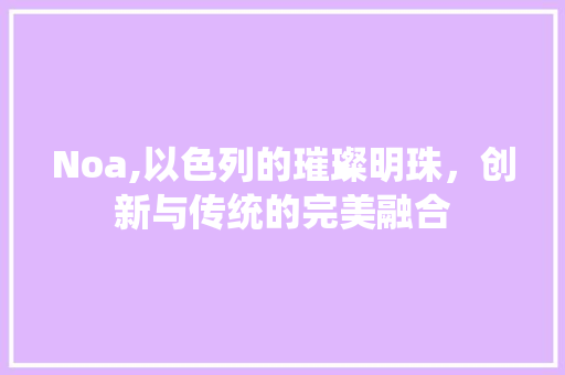 Noa,以色列的璀璨明珠，创新与传统的完美融合 必应SEO
