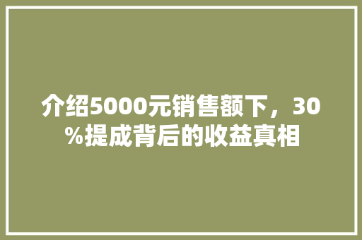 介绍5000元销售额下，30%提成背后的收益真相 必应SEO