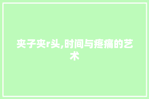 夹子夹r头,时间与疼痛的艺术 GoogleSEO
