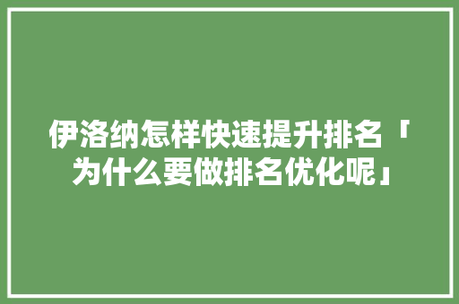 伊洛纳怎样快速提升排名「为什么要做排名优化呢」