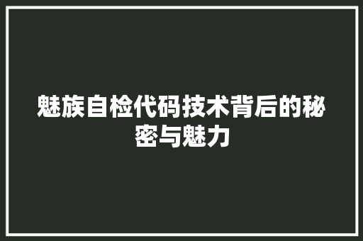 魅族自检代码技术背后的秘密与魅力