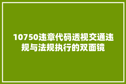 10750违章代码透视交通违规与法规执行的双面镜 必应SEO