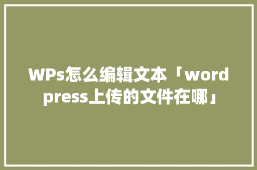 WPs怎么编辑文本「wordpress上传的文件在哪」