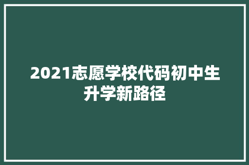 2021志愿学校代码初中生升学新路径 必应SEO