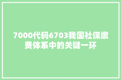 7000代码6703我国社保缴费体系中的关键一环 神马SEO