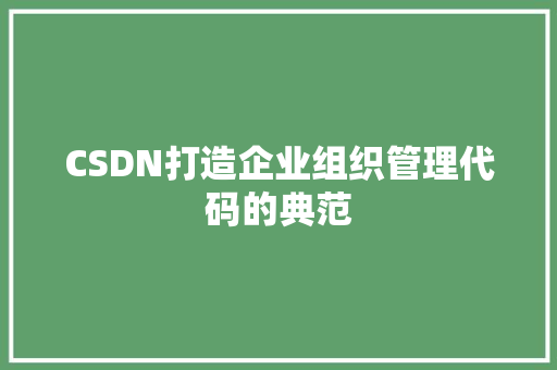 CSDN打造企业组织管理代码的典范 神马SEO