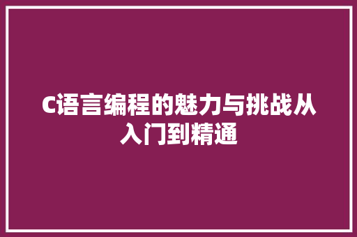 C语言编程的魅力与挑战从入门到精通 必应SEO