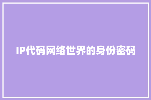 IP代码网络世界的身份密码 百度SEO