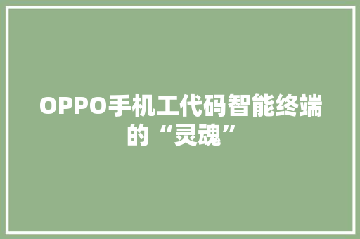 OPPO手机工代码智能终端的“灵魂” 百度SEO