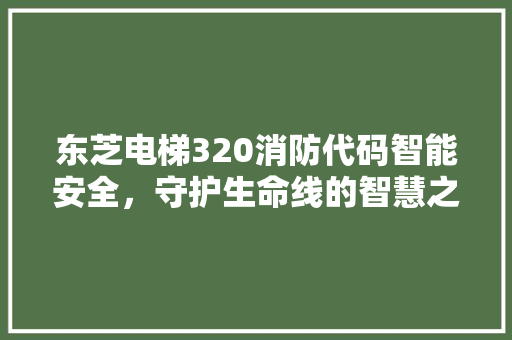东芝电梯320消防代码智能安全，守护生命线的智慧之选 神马SEO
