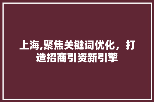 上海,聚焦关键词优化，打造招商引资新引擎 搜狗SEO