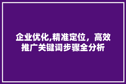 企业优化,精准定位，高效推广关键词步骤全分析 百度SEO