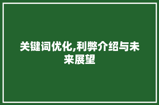 关键词优化,利弊介绍与未来展望 GoogleSEO