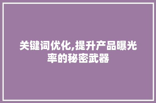 关键词优化,提升产品曝光率的秘密武器 必应SEO