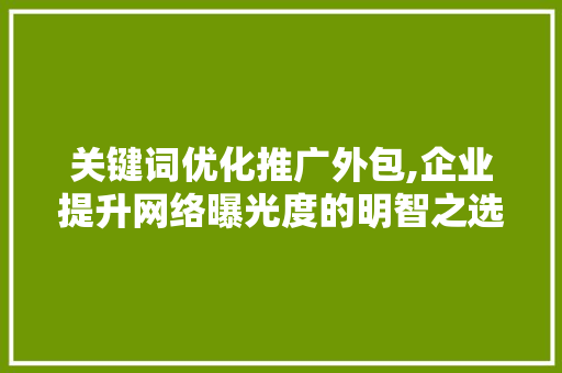 关键词优化推广外包,企业提升网络曝光度的明智之选 神马SEO