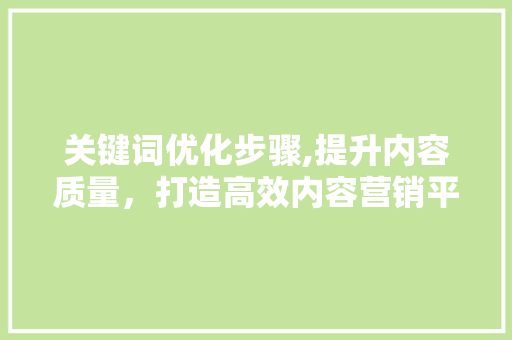 关键词优化步骤,提升内容质量，打造高效内容营销平台 百度SEO