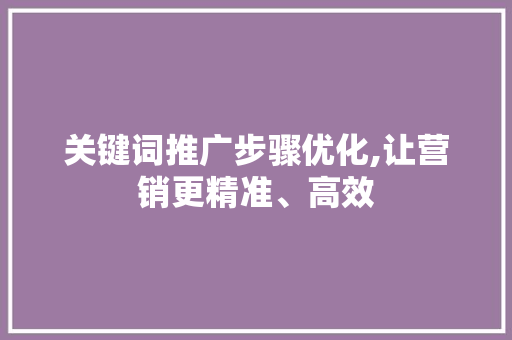 关键词推广步骤优化,让营销更精准、高效 必应SEO