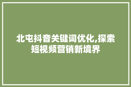 北屯抖音关键词优化,探索短视频营销新境界 百度SEO
