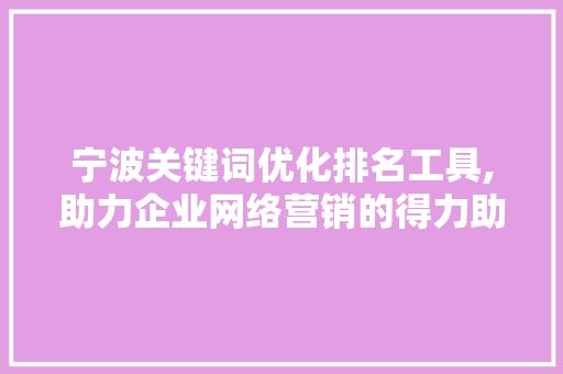 宁波关键词优化排名工具,助力企业网络营销的得力助手 GoogleSEO