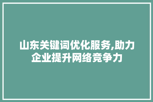 山东关键词优化服务,助力企业提升网络竞争力 搜狗SEO