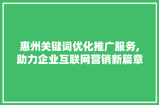 惠州关键词优化推广服务,助力企业互联网营销新篇章 神马SEO