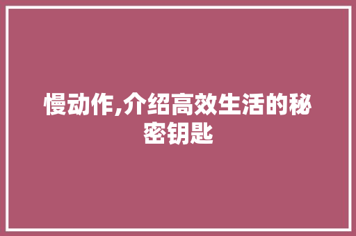 慢动作,介绍高效生活的秘密钥匙 神马SEO