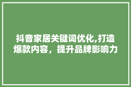 抖音家居关键词优化,打造爆款内容，提升品牌影响力