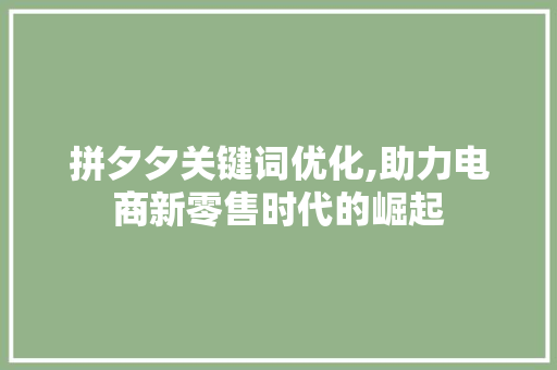 拼夕夕关键词优化,助力电商新零售时代的崛起 百度SEO
