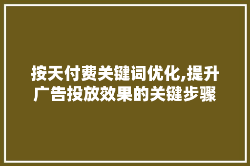 按天付费关键词优化,提升广告投放效果的关键步骤