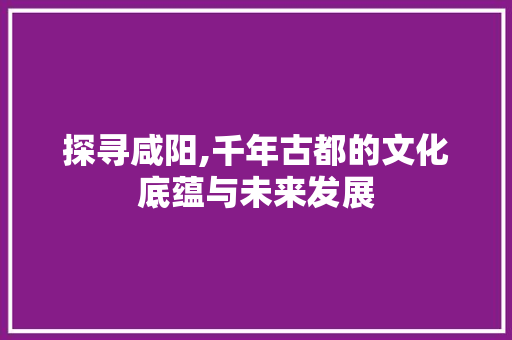探寻咸阳,千年古都的文化底蕴与未来发展