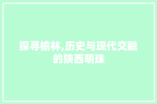 探寻榆林,历史与现代交融的陕西明珠
