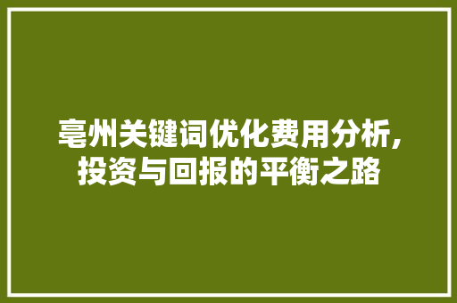 亳州关键词优化费用分析,投资与回报的平衡之路 GoogleSEO