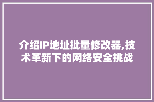 介绍IP地址批量修改器,技术革新下的网络安全挑战 百度SEO