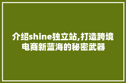 介绍shine独立站,打造跨境电商新蓝海的秘密武器 GoogleSEO