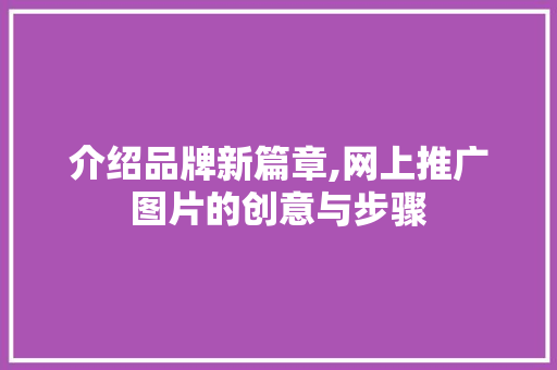 介绍品牌新篇章,网上推广图片的创意与步骤 百度SEO