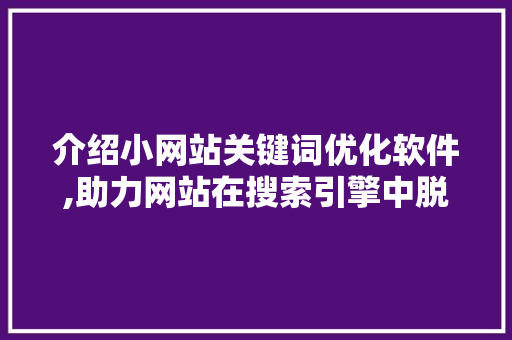 介绍小网站关键词优化软件,助力网站在搜索引擎中脱颖而出 搜狗SEO