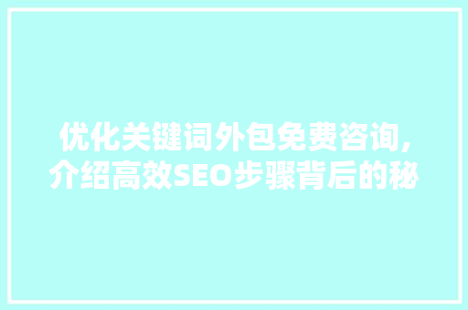 优化关键词外包免费咨询,介绍高效SEO步骤背后的秘密 GoogleSEO