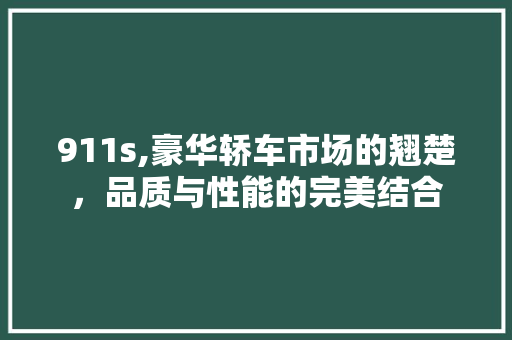 911s,豪华轿车市场的翘楚，品质与性能的完美结合 GoogleSEO