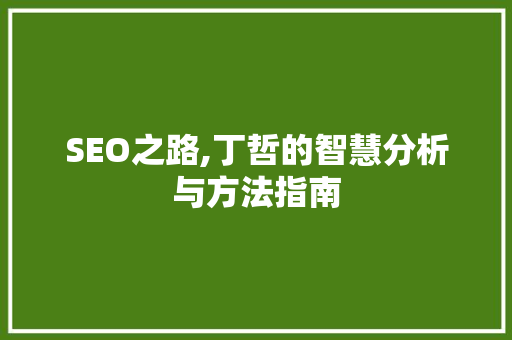 SEO之路,丁哲的智慧分析与方法指南 神马SEO