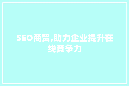 SEO商贸,助力企业提升在线竞争力 GoogleSEO