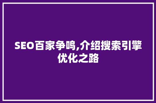 SEO百家争鸣,介绍搜索引擎优化之路 百度SEO